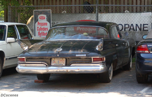 Click on image for caption and credit.