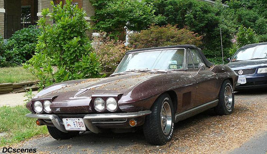 Click on image for caption and credit.